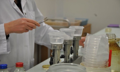 La sûreté alimentaire, un combat aux multiples facettes