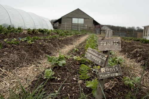 Oublier les pesticides