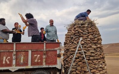 Les gardiens des cigognes